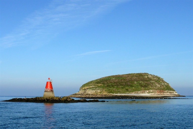 Boat trips to Puffin Island, Anglesey, North Wales