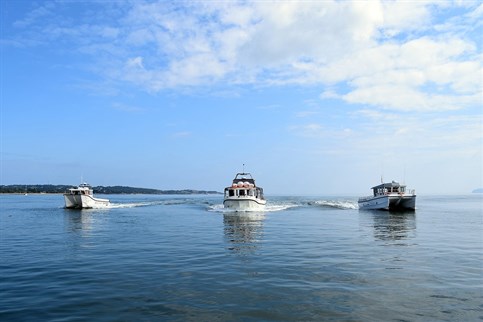 Our Anglesey boat trip fleet - available for private charters and group bookings